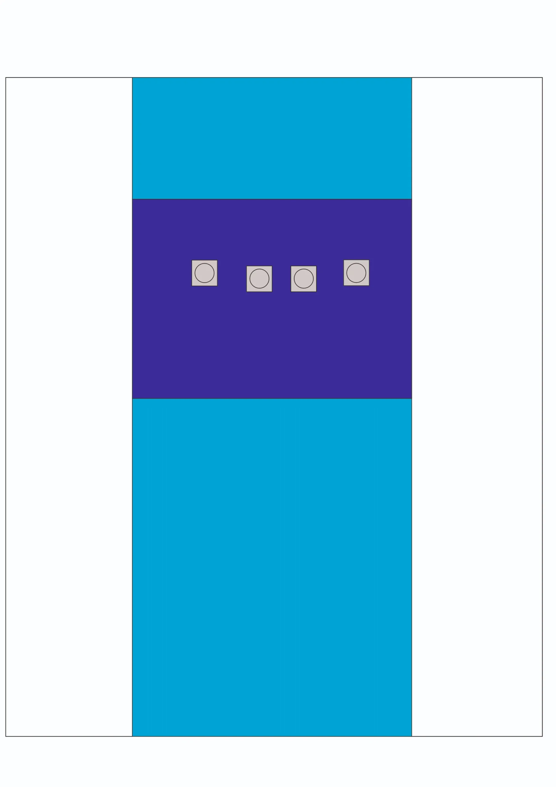 ANGIOGRAPHY DRAPE transparent sides scaled
